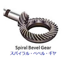 Spiral bevel gear